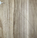Silver Chain 20in