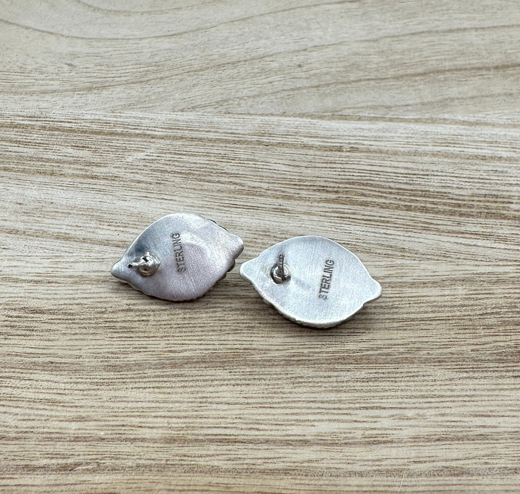 Sleeping Beauty Turquoise Studs
